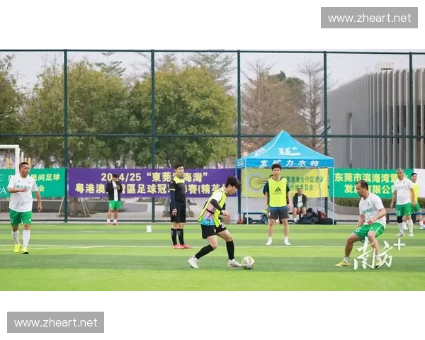 全程解析足球赛事精彩瞬间 打开电视与全球球迷一同感受热血竞技 全程解析足球赛事精彩瞬间 打开电视与全球球迷一同感受热血竞技